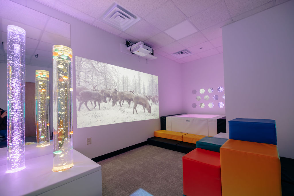 Certified Snoezelen Multi-Sensory Environment room at Bee Me